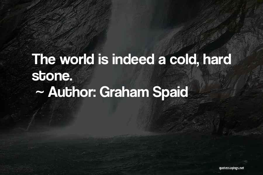 Graham Spaid Quotes: The World Is Indeed A Cold, Hard Stone.