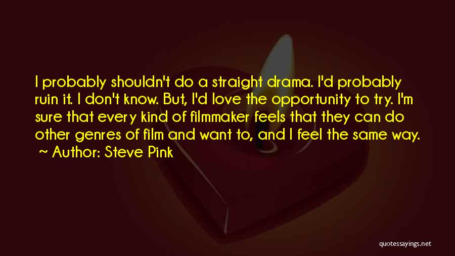 Steve Pink Quotes: I Probably Shouldn't Do A Straight Drama. I'd Probably Ruin It. I Don't Know. But, I'd Love The Opportunity To