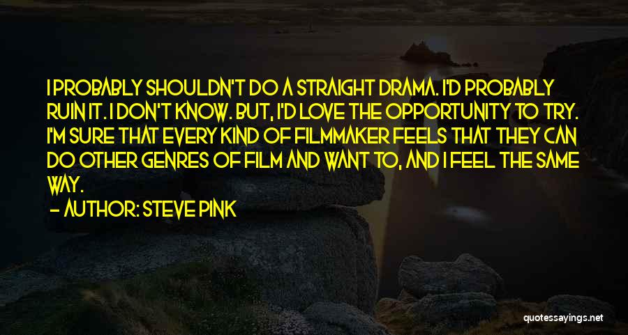 Steve Pink Quotes: I Probably Shouldn't Do A Straight Drama. I'd Probably Ruin It. I Don't Know. But, I'd Love The Opportunity To