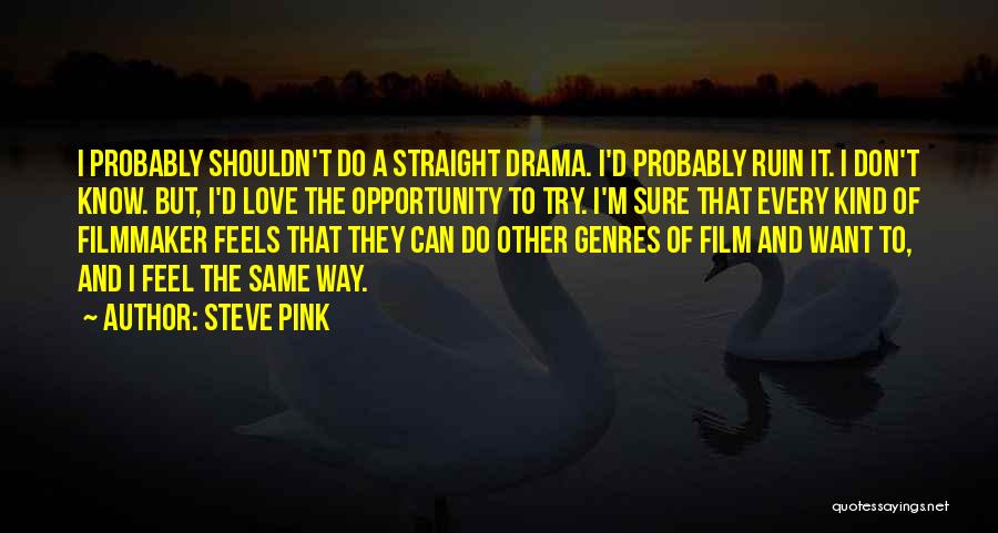Steve Pink Quotes: I Probably Shouldn't Do A Straight Drama. I'd Probably Ruin It. I Don't Know. But, I'd Love The Opportunity To