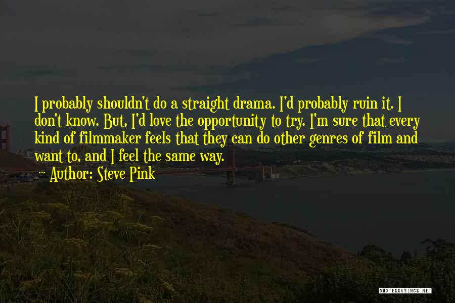Steve Pink Quotes: I Probably Shouldn't Do A Straight Drama. I'd Probably Ruin It. I Don't Know. But, I'd Love The Opportunity To