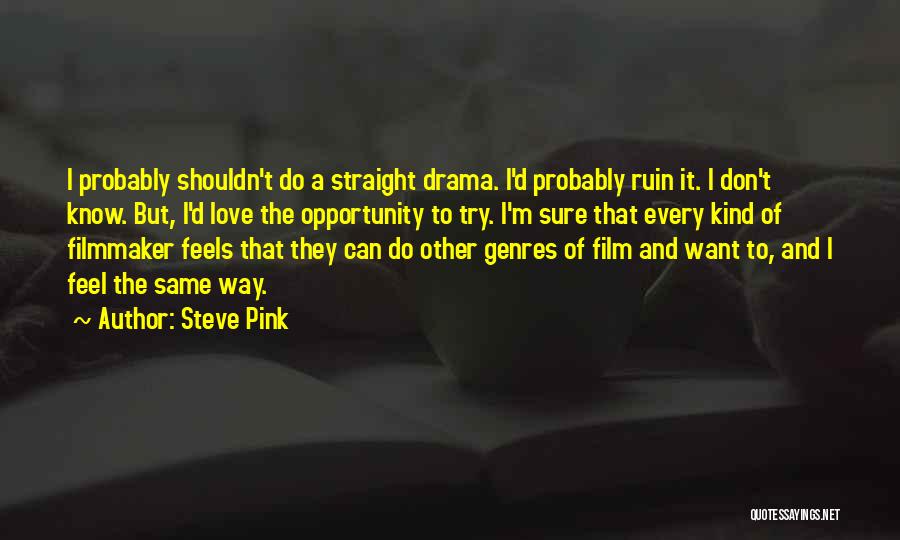 Steve Pink Quotes: I Probably Shouldn't Do A Straight Drama. I'd Probably Ruin It. I Don't Know. But, I'd Love The Opportunity To