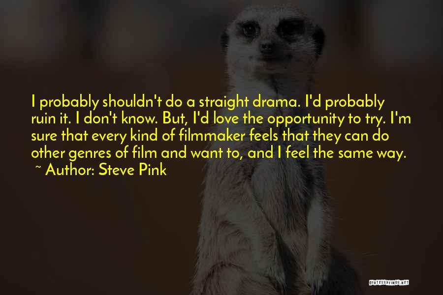 Steve Pink Quotes: I Probably Shouldn't Do A Straight Drama. I'd Probably Ruin It. I Don't Know. But, I'd Love The Opportunity To