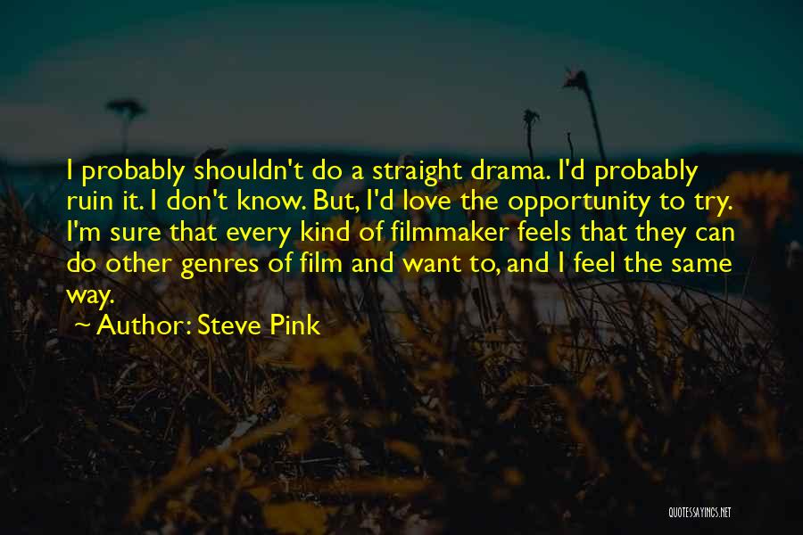 Steve Pink Quotes: I Probably Shouldn't Do A Straight Drama. I'd Probably Ruin It. I Don't Know. But, I'd Love The Opportunity To