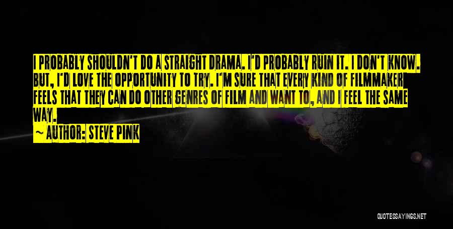 Steve Pink Quotes: I Probably Shouldn't Do A Straight Drama. I'd Probably Ruin It. I Don't Know. But, I'd Love The Opportunity To