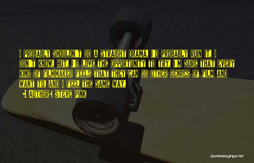 Steve Pink Quotes: I Probably Shouldn't Do A Straight Drama. I'd Probably Ruin It. I Don't Know. But, I'd Love The Opportunity To
