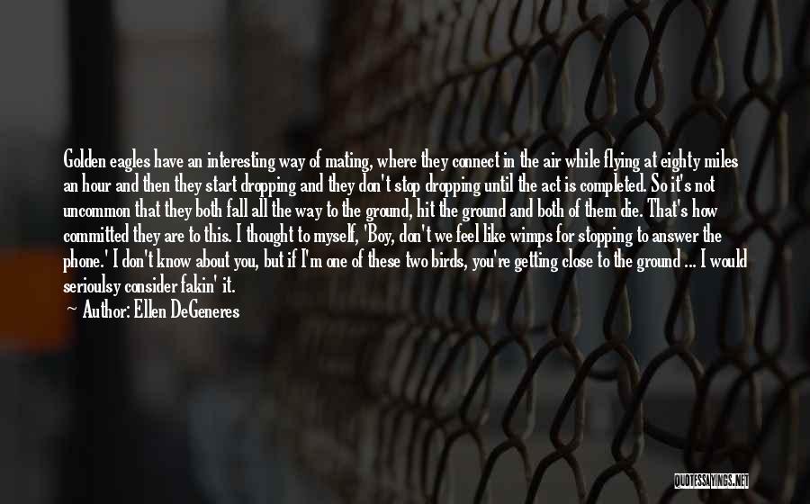 Ellen DeGeneres Quotes: Golden Eagles Have An Interesting Way Of Mating, Where They Connect In The Air While Flying At Eighty Miles An