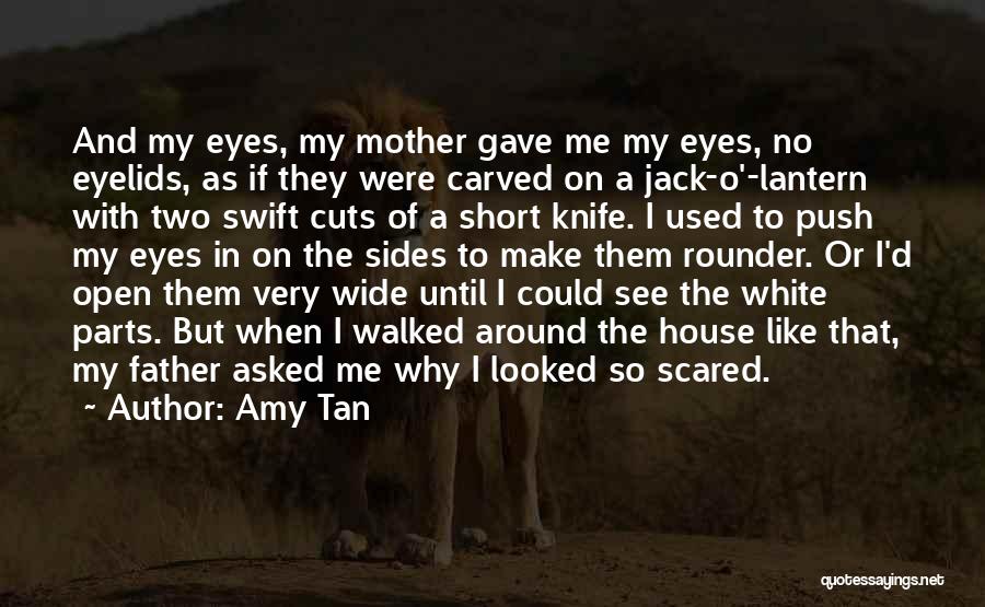 Amy Tan Quotes: And My Eyes, My Mother Gave Me My Eyes, No Eyelids, As If They Were Carved On A Jack-o'-lantern With