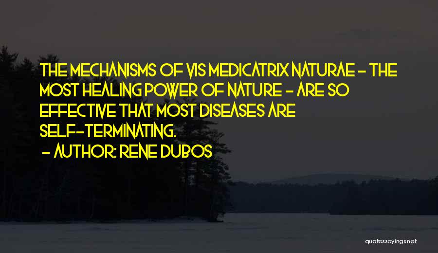 Rene Dubos Quotes: The Mechanisms Of Vis Medicatrix Naturae - The Most Healing Power Of Nature - Are So Effective That Most Diseases