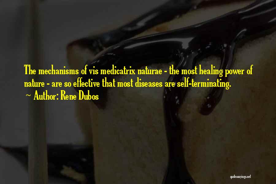 Rene Dubos Quotes: The Mechanisms Of Vis Medicatrix Naturae - The Most Healing Power Of Nature - Are So Effective That Most Diseases