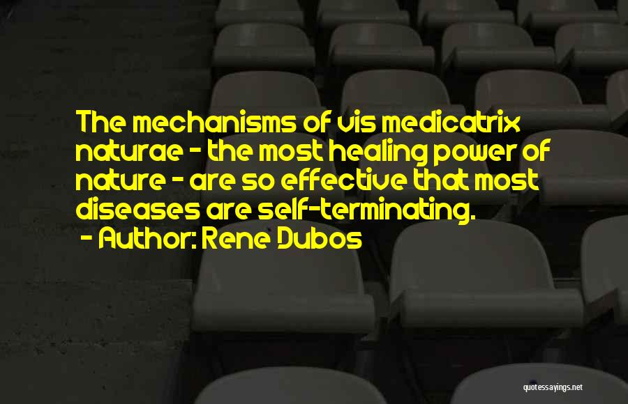 Rene Dubos Quotes: The Mechanisms Of Vis Medicatrix Naturae - The Most Healing Power Of Nature - Are So Effective That Most Diseases