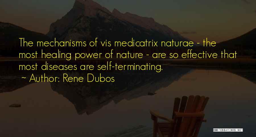 Rene Dubos Quotes: The Mechanisms Of Vis Medicatrix Naturae - The Most Healing Power Of Nature - Are So Effective That Most Diseases