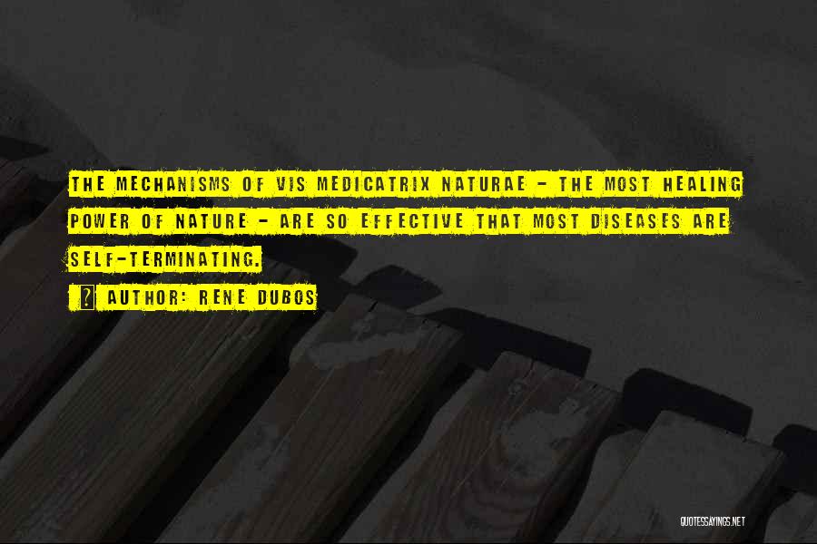 Rene Dubos Quotes: The Mechanisms Of Vis Medicatrix Naturae - The Most Healing Power Of Nature - Are So Effective That Most Diseases