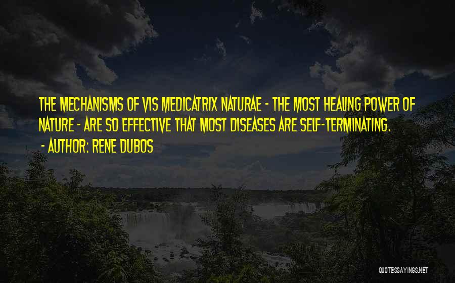 Rene Dubos Quotes: The Mechanisms Of Vis Medicatrix Naturae - The Most Healing Power Of Nature - Are So Effective That Most Diseases