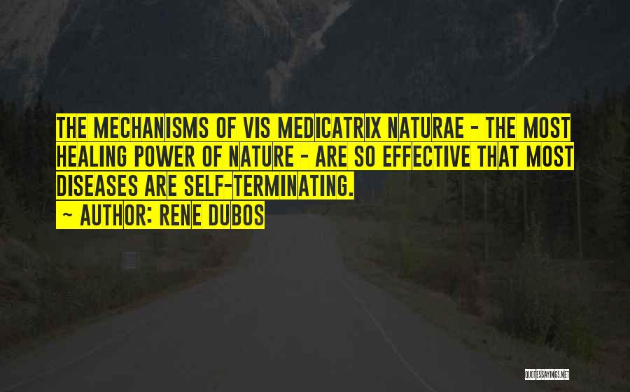 Rene Dubos Quotes: The Mechanisms Of Vis Medicatrix Naturae - The Most Healing Power Of Nature - Are So Effective That Most Diseases