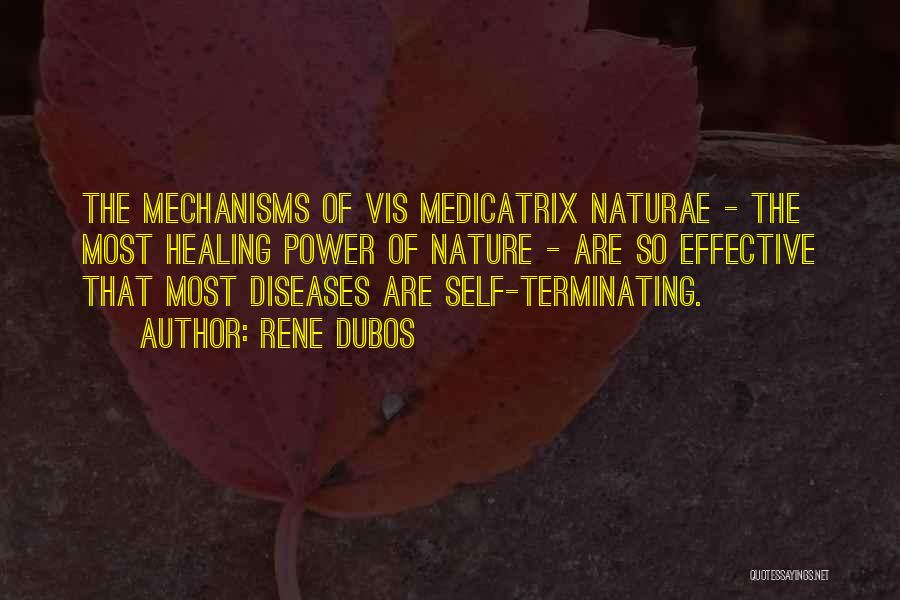 Rene Dubos Quotes: The Mechanisms Of Vis Medicatrix Naturae - The Most Healing Power Of Nature - Are So Effective That Most Diseases