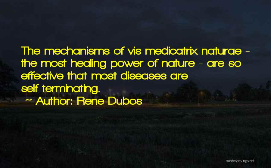 Rene Dubos Quotes: The Mechanisms Of Vis Medicatrix Naturae - The Most Healing Power Of Nature - Are So Effective That Most Diseases