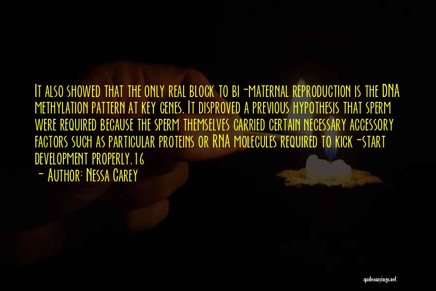 Nessa Carey Quotes: It Also Showed That The Only Real Block To Bi-maternal Reproduction Is The Dna Methylation Pattern At Key Genes. It