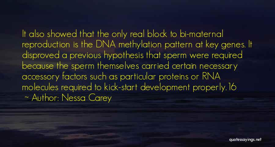 Nessa Carey Quotes: It Also Showed That The Only Real Block To Bi-maternal Reproduction Is The Dna Methylation Pattern At Key Genes. It