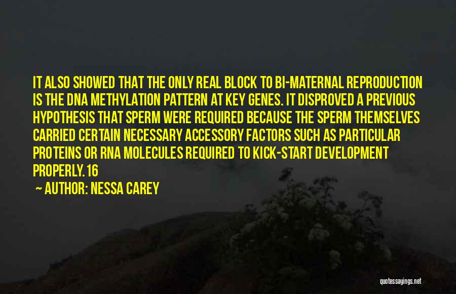Nessa Carey Quotes: It Also Showed That The Only Real Block To Bi-maternal Reproduction Is The Dna Methylation Pattern At Key Genes. It