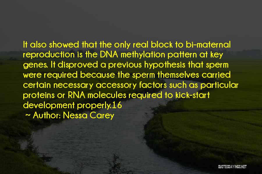 Nessa Carey Quotes: It Also Showed That The Only Real Block To Bi-maternal Reproduction Is The Dna Methylation Pattern At Key Genes. It