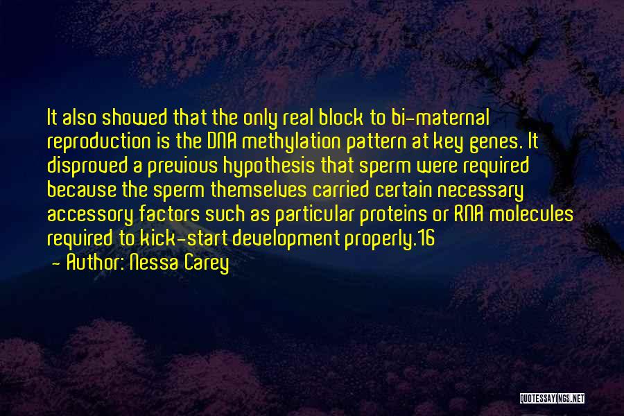 Nessa Carey Quotes: It Also Showed That The Only Real Block To Bi-maternal Reproduction Is The Dna Methylation Pattern At Key Genes. It