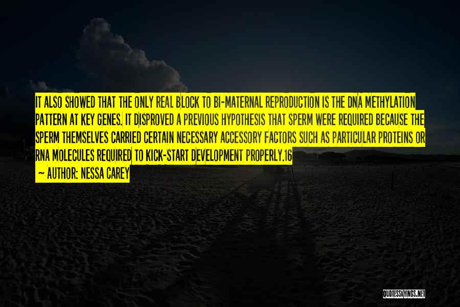 Nessa Carey Quotes: It Also Showed That The Only Real Block To Bi-maternal Reproduction Is The Dna Methylation Pattern At Key Genes. It