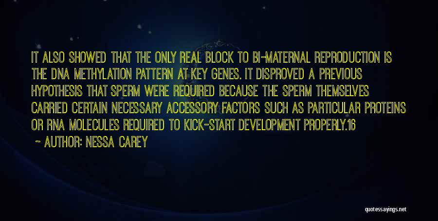 Nessa Carey Quotes: It Also Showed That The Only Real Block To Bi-maternal Reproduction Is The Dna Methylation Pattern At Key Genes. It