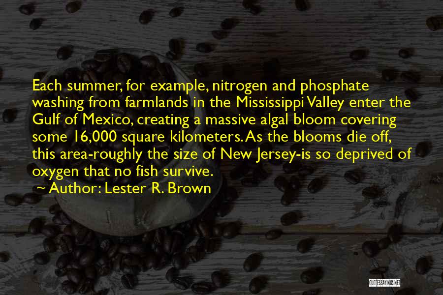Lester R. Brown Quotes: Each Summer, For Example, Nitrogen And Phosphate Washing From Farmlands In The Mississippi Valley Enter The Gulf Of Mexico, Creating