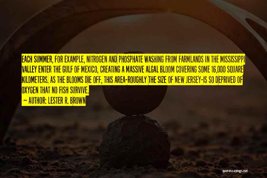 Lester R. Brown Quotes: Each Summer, For Example, Nitrogen And Phosphate Washing From Farmlands In The Mississippi Valley Enter The Gulf Of Mexico, Creating