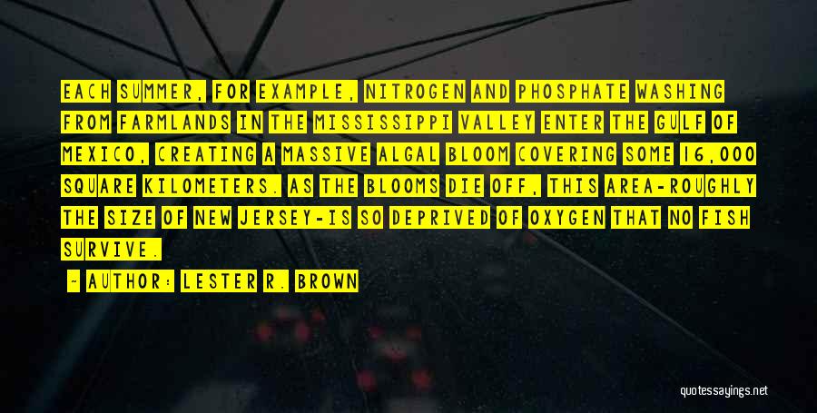 Lester R. Brown Quotes: Each Summer, For Example, Nitrogen And Phosphate Washing From Farmlands In The Mississippi Valley Enter The Gulf Of Mexico, Creating