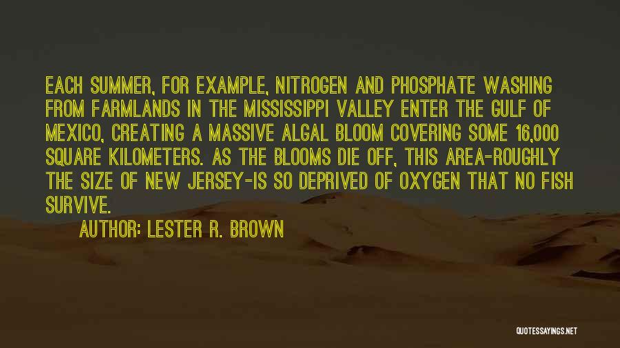 Lester R. Brown Quotes: Each Summer, For Example, Nitrogen And Phosphate Washing From Farmlands In The Mississippi Valley Enter The Gulf Of Mexico, Creating