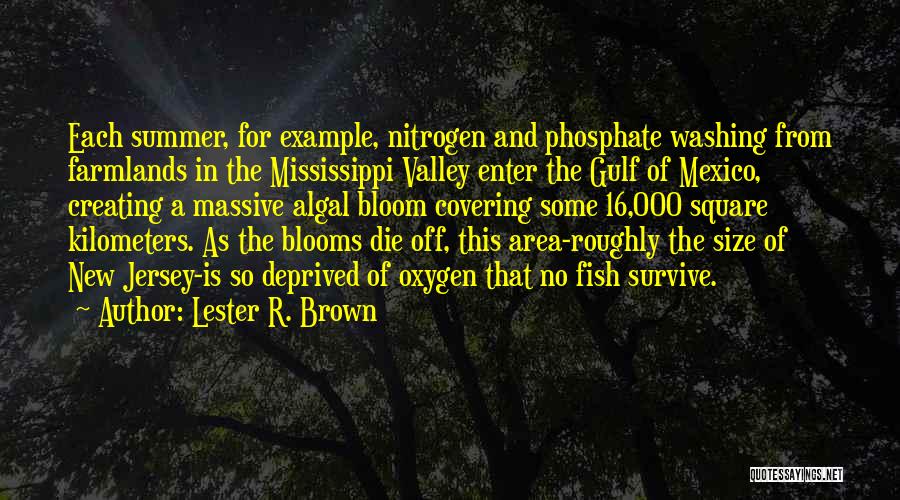 Lester R. Brown Quotes: Each Summer, For Example, Nitrogen And Phosphate Washing From Farmlands In The Mississippi Valley Enter The Gulf Of Mexico, Creating