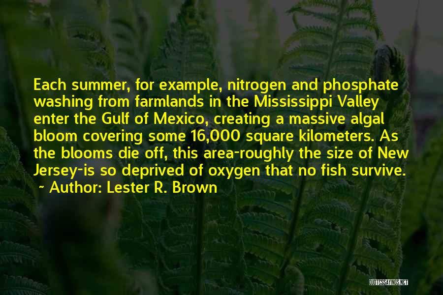 Lester R. Brown Quotes: Each Summer, For Example, Nitrogen And Phosphate Washing From Farmlands In The Mississippi Valley Enter The Gulf Of Mexico, Creating