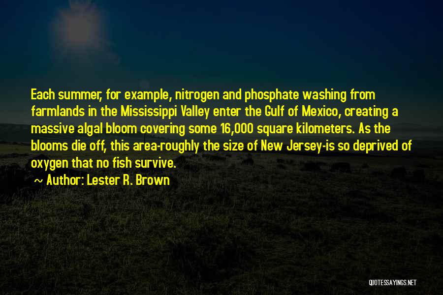 Lester R. Brown Quotes: Each Summer, For Example, Nitrogen And Phosphate Washing From Farmlands In The Mississippi Valley Enter The Gulf Of Mexico, Creating