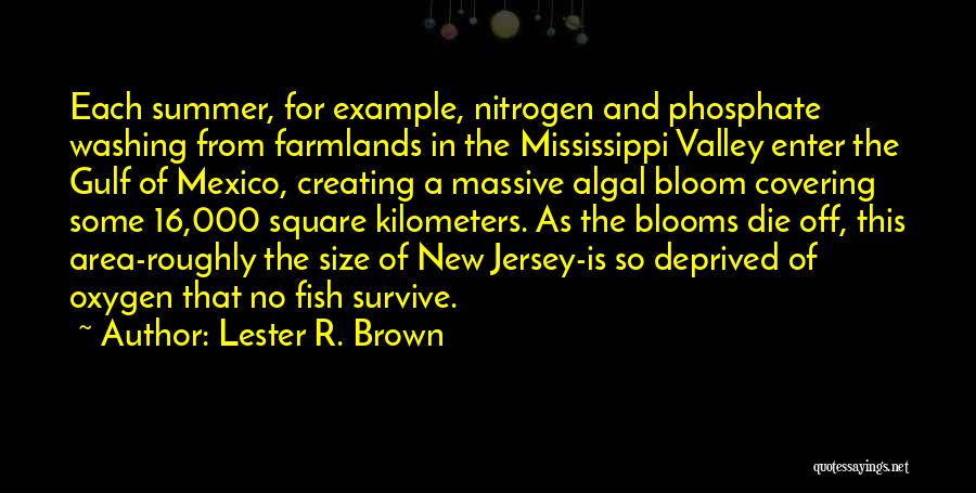 Lester R. Brown Quotes: Each Summer, For Example, Nitrogen And Phosphate Washing From Farmlands In The Mississippi Valley Enter The Gulf Of Mexico, Creating