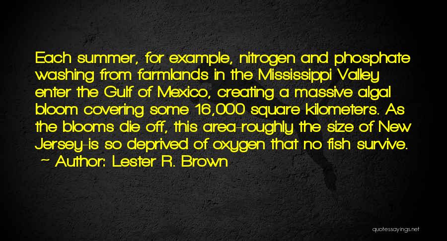 Lester R. Brown Quotes: Each Summer, For Example, Nitrogen And Phosphate Washing From Farmlands In The Mississippi Valley Enter The Gulf Of Mexico, Creating