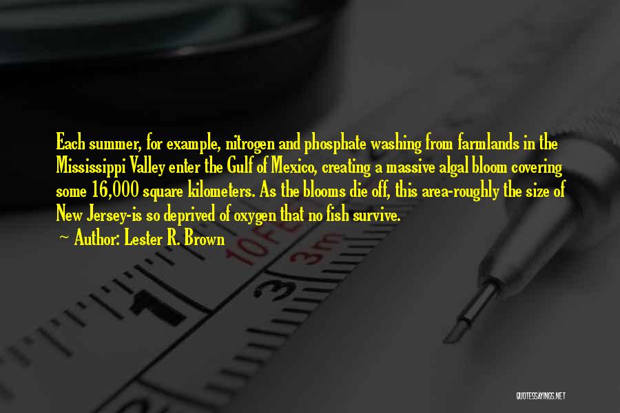 Lester R. Brown Quotes: Each Summer, For Example, Nitrogen And Phosphate Washing From Farmlands In The Mississippi Valley Enter The Gulf Of Mexico, Creating