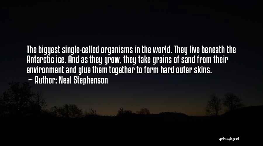 Neal Stephenson Quotes: The Biggest Single-celled Organisms In The World. They Live Beneath The Antarctic Ice. And As They Grow, They Take Grains