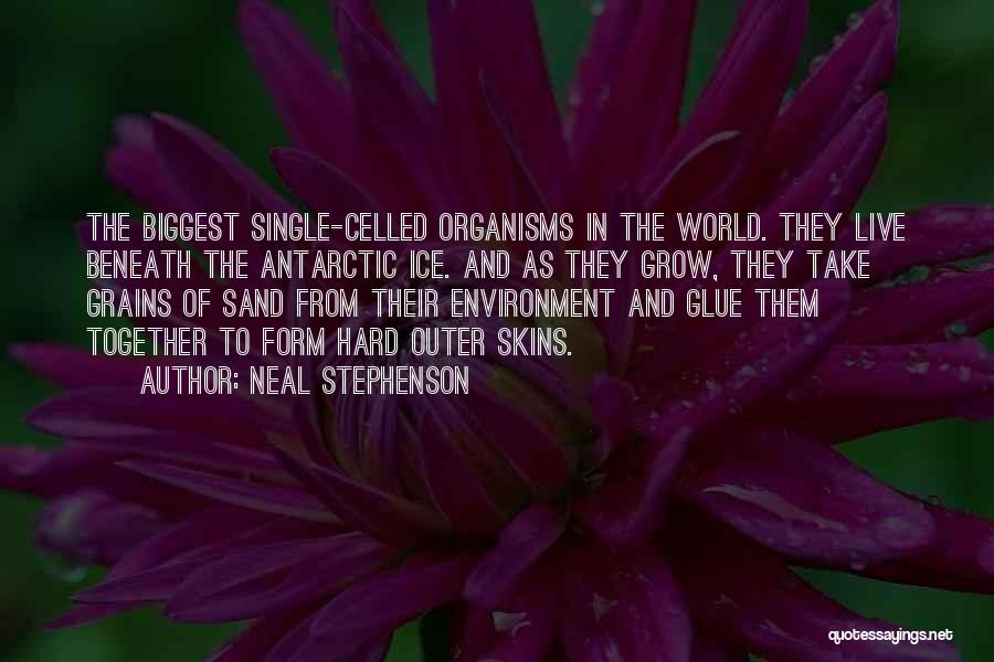 Neal Stephenson Quotes: The Biggest Single-celled Organisms In The World. They Live Beneath The Antarctic Ice. And As They Grow, They Take Grains