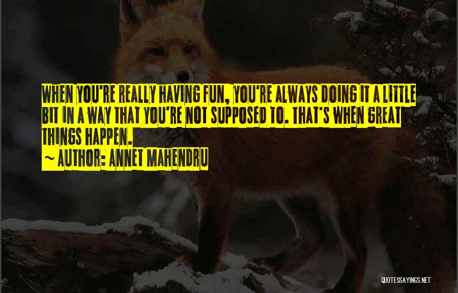 Annet Mahendru Quotes: When You're Really Having Fun, You're Always Doing It A Little Bit In A Way That You're Not Supposed To.