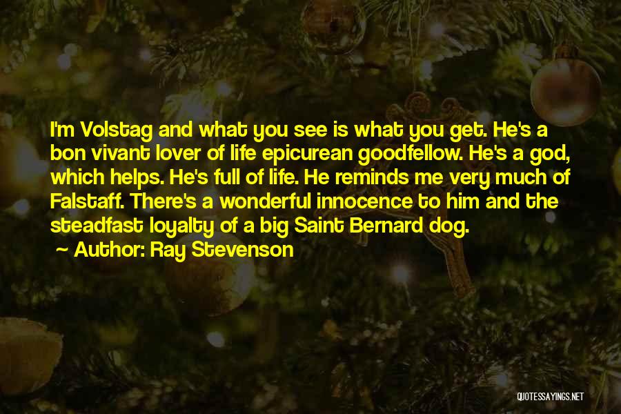 Ray Stevenson Quotes: I'm Volstag And What You See Is What You Get. He's A Bon Vivant Lover Of Life Epicurean Goodfellow. He's