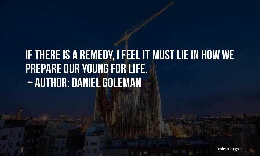 Daniel Goleman Quotes: If There Is A Remedy, I Feel It Must Lie In How We Prepare Our Young For Life.