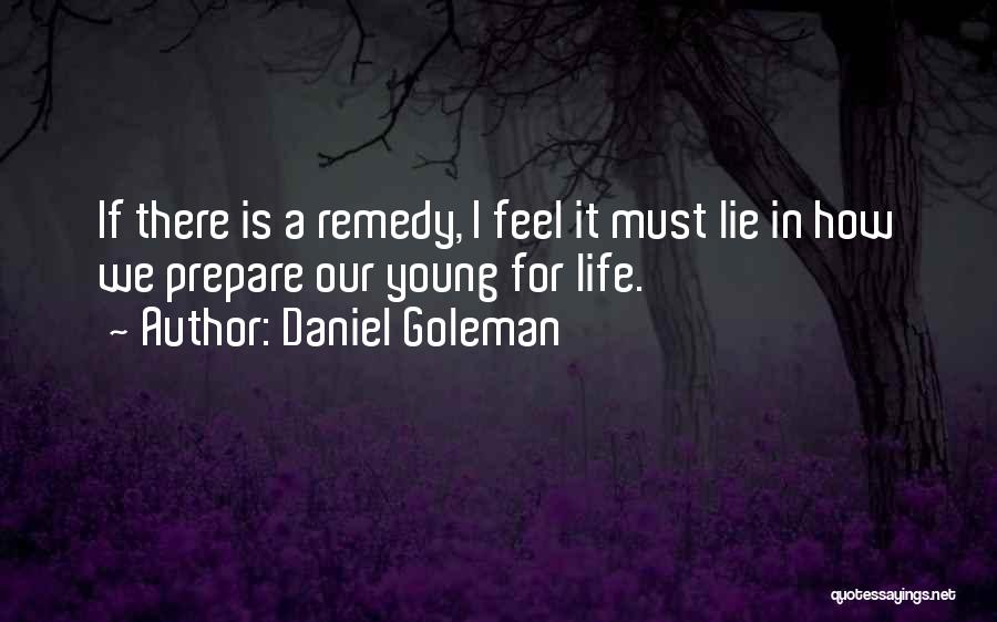 Daniel Goleman Quotes: If There Is A Remedy, I Feel It Must Lie In How We Prepare Our Young For Life.