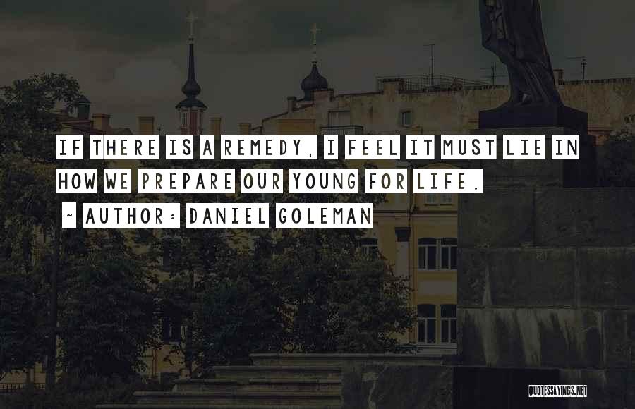 Daniel Goleman Quotes: If There Is A Remedy, I Feel It Must Lie In How We Prepare Our Young For Life.