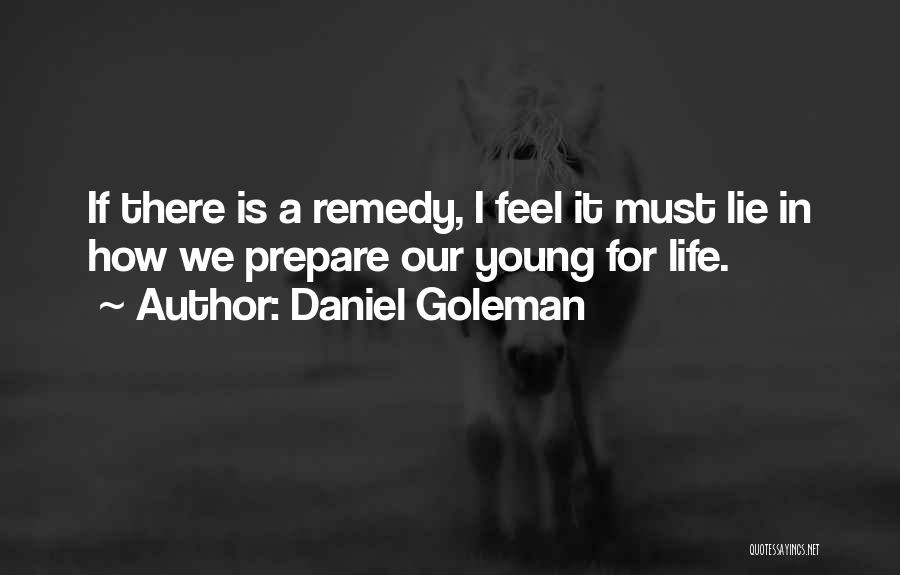 Daniel Goleman Quotes: If There Is A Remedy, I Feel It Must Lie In How We Prepare Our Young For Life.