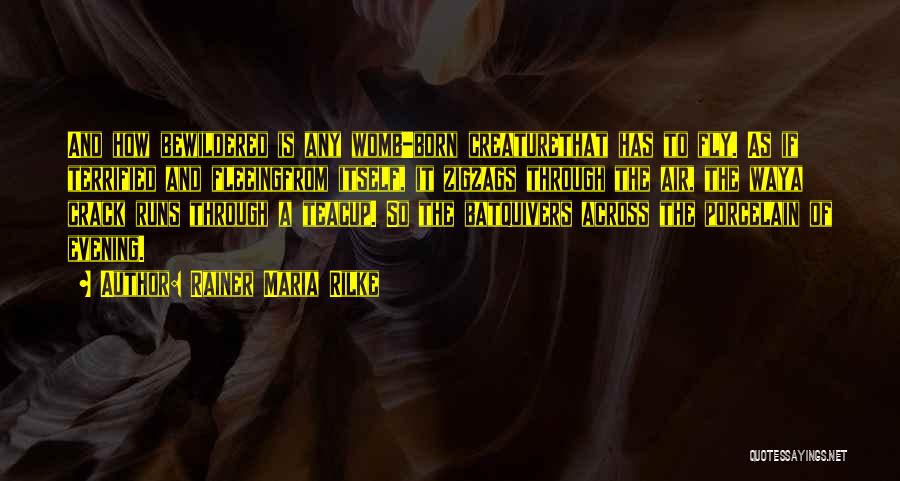 Rainer Maria Rilke Quotes: And How Bewildered Is Any Womb-born Creaturethat Has To Fly. As If Terrified And Fleeingfrom Itself, It Zigzags Through The