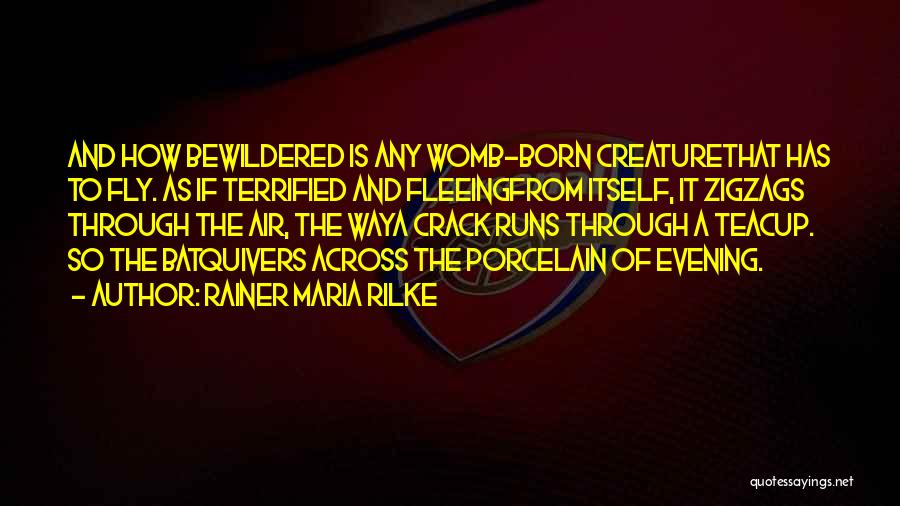 Rainer Maria Rilke Quotes: And How Bewildered Is Any Womb-born Creaturethat Has To Fly. As If Terrified And Fleeingfrom Itself, It Zigzags Through The