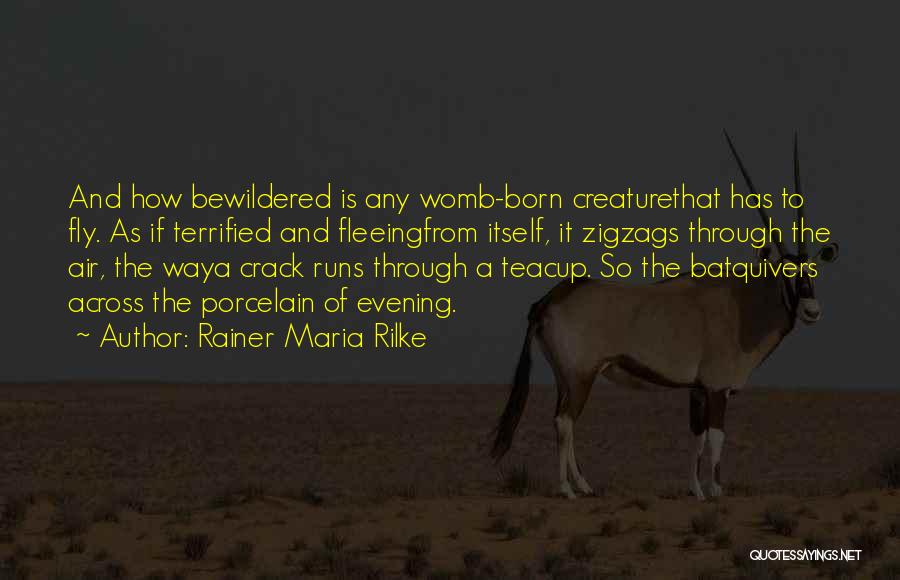 Rainer Maria Rilke Quotes: And How Bewildered Is Any Womb-born Creaturethat Has To Fly. As If Terrified And Fleeingfrom Itself, It Zigzags Through The