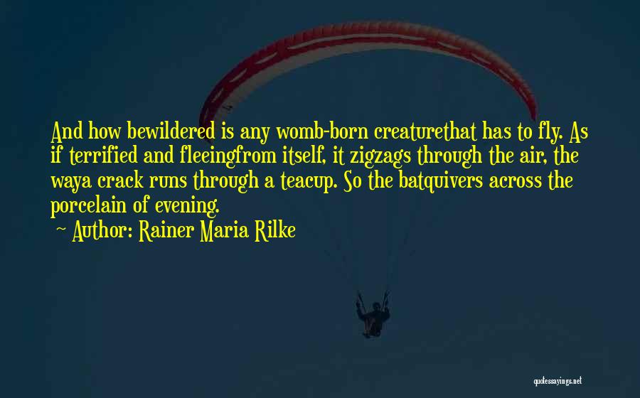 Rainer Maria Rilke Quotes: And How Bewildered Is Any Womb-born Creaturethat Has To Fly. As If Terrified And Fleeingfrom Itself, It Zigzags Through The